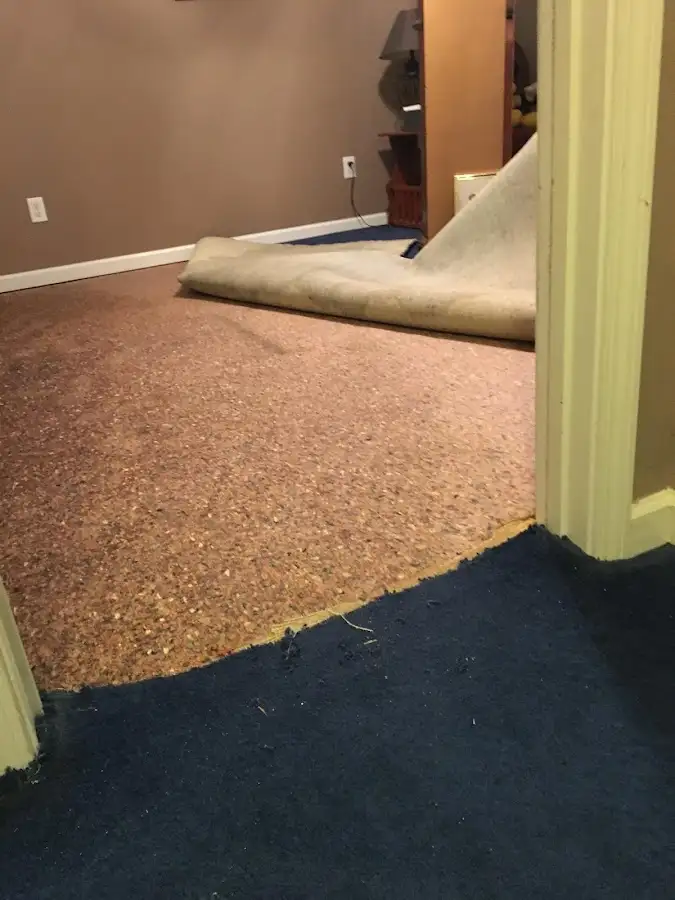 Carpet pad removal revealing water damage during Water Mitigation Services in Martin