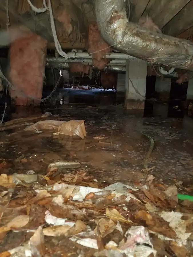 Crawl space flood assessment for Leak Detection & Repair in Martin