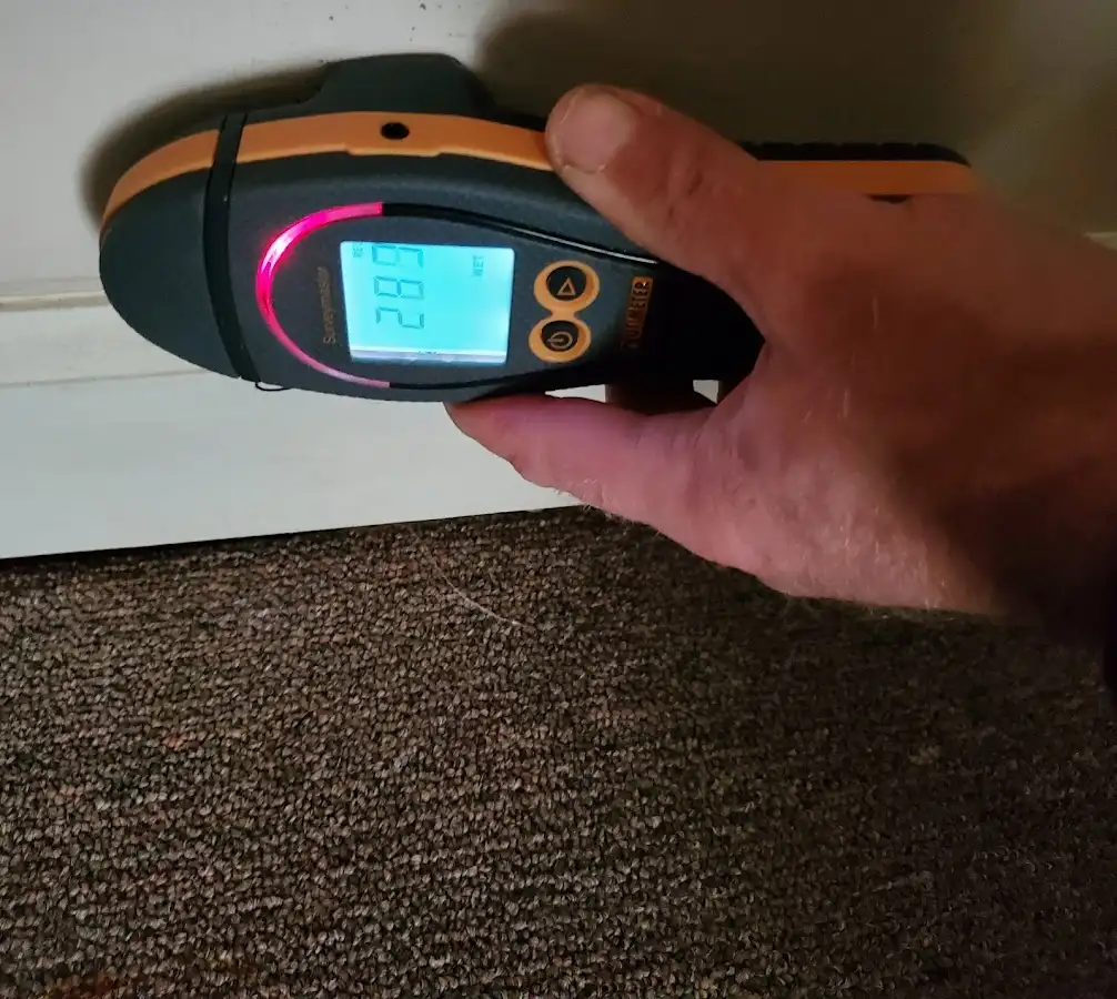 Moisture detection at baseboard during Mold Inspection & Testing in Martin